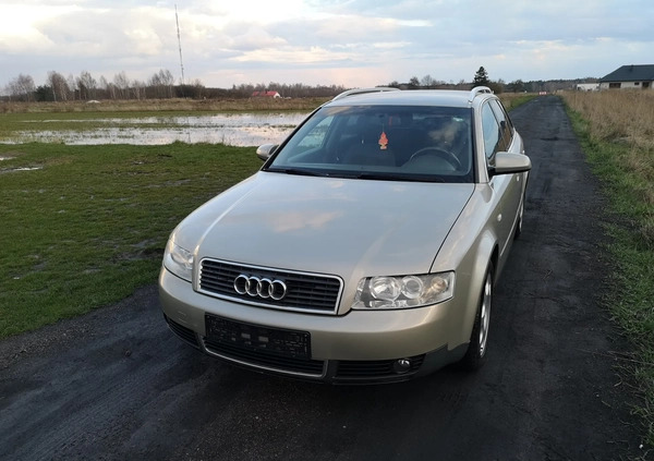 Audi A4 cena 11900 przebieg: 287000, rok produkcji 2003 z Ryki małe 781